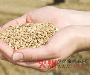 �����r(sh��)���ͯ�oʳ��(d��ng)���ի@ԭ��