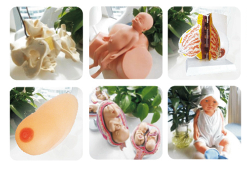 �옷(l��)�����ЋD�W(xu��)У�̌W(xu��)�þ�