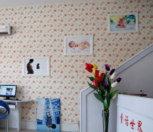 ɽ�|������˵�չʾ