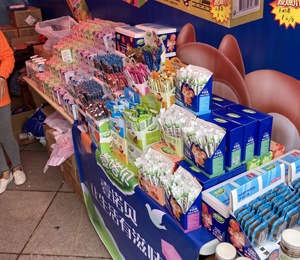  Ҽ�ZؐС��ʳչ���D6