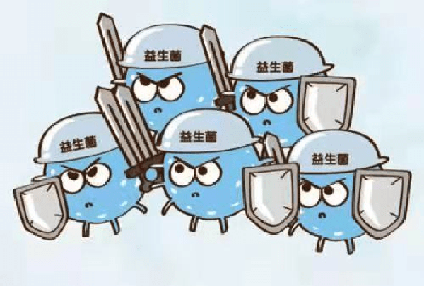 益生菌作用.png 益生菌作用.png