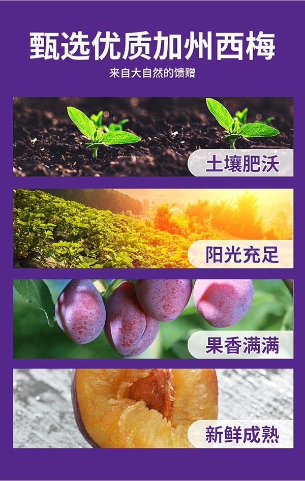 英貝健大餐救星™益生元西梅纖維果飲 (3).jpg