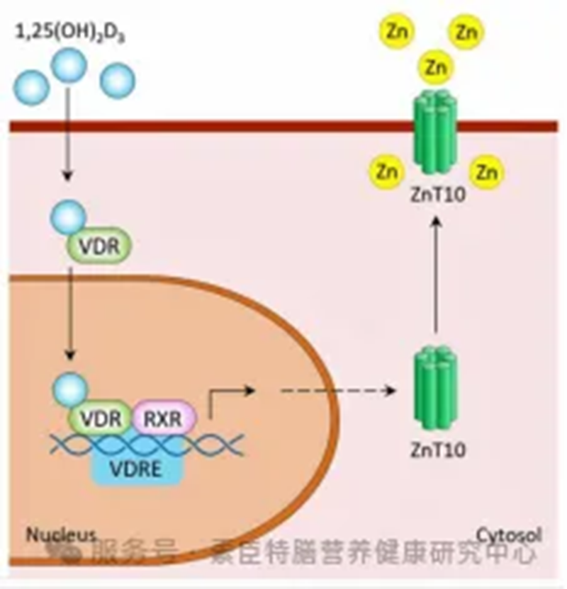 I(lng)ͯ®ЙC(j)}400SD04.png