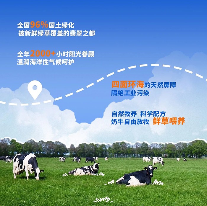 貝佳知多星小巨人兒童成長奶粉_03.jpg
