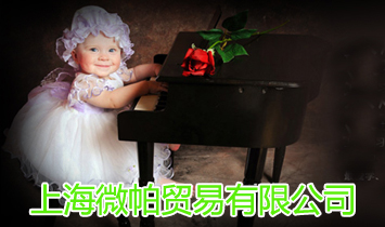 �Ϻ�΢���Q(m��o)�����޹�˾