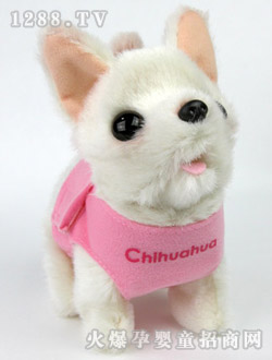 ��֮��BABY֥����