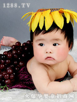 ���L(f��ng)܇��������