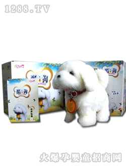 �����������܌�(du��)Ԓ�ṷ