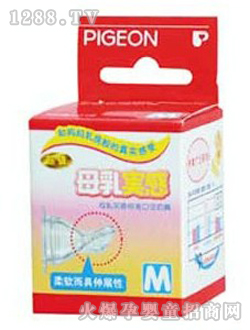 ؐ�Hĸ�錍�И�(bi��o)�ʿڏ�����BA25