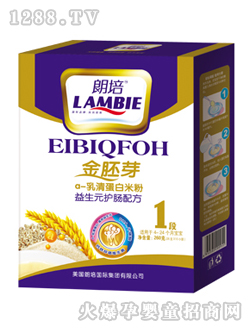 ����a-���嵰���׷�