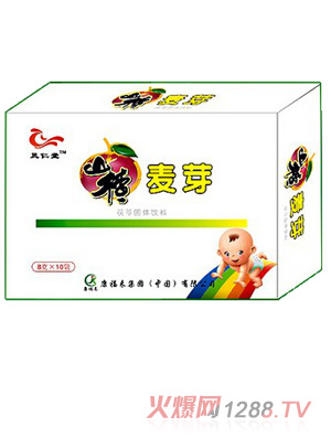 鳳仁堂山楂麥芽茯苓固體飲料