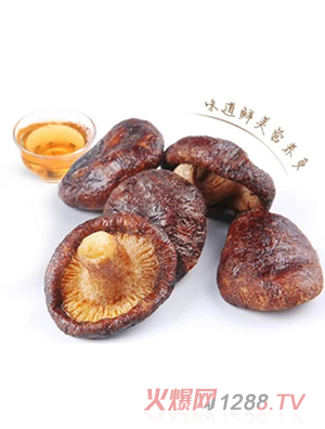 ���x����С�㹽