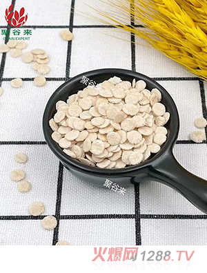 ������Ƭ