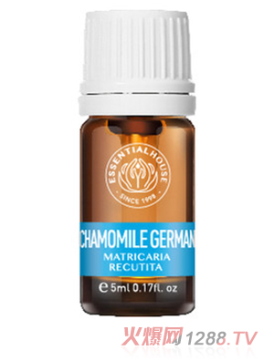 梵溪花園 德國(guó)洋甘菊