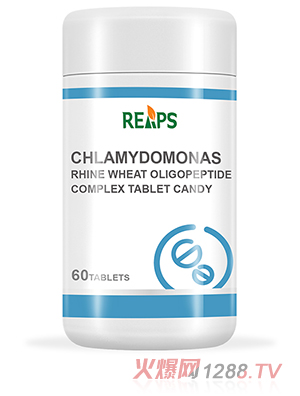 �R������С���;��ďͺω�Ƭ�ǹ�