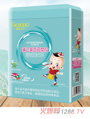 橙色貝貝蒲公英百合菊花植物固體飲料